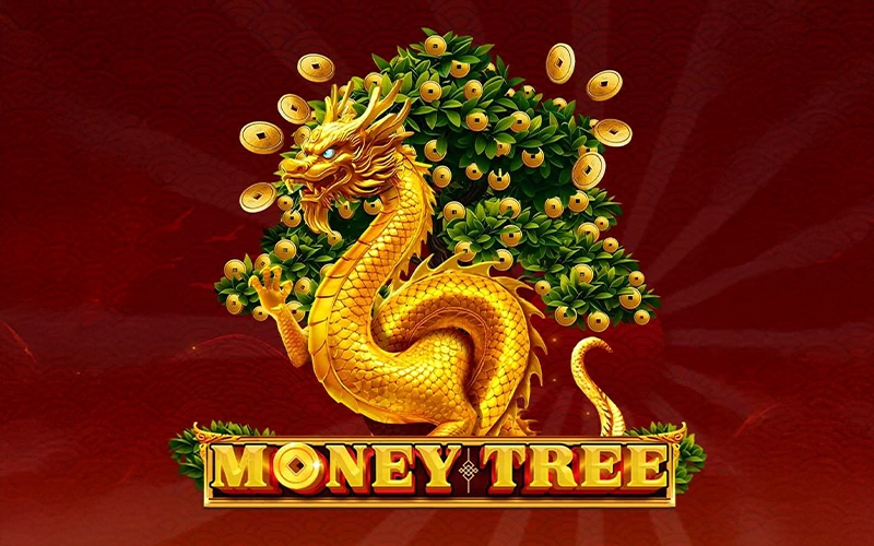 Try your luck and win with Money Tree at Locowin Casino.